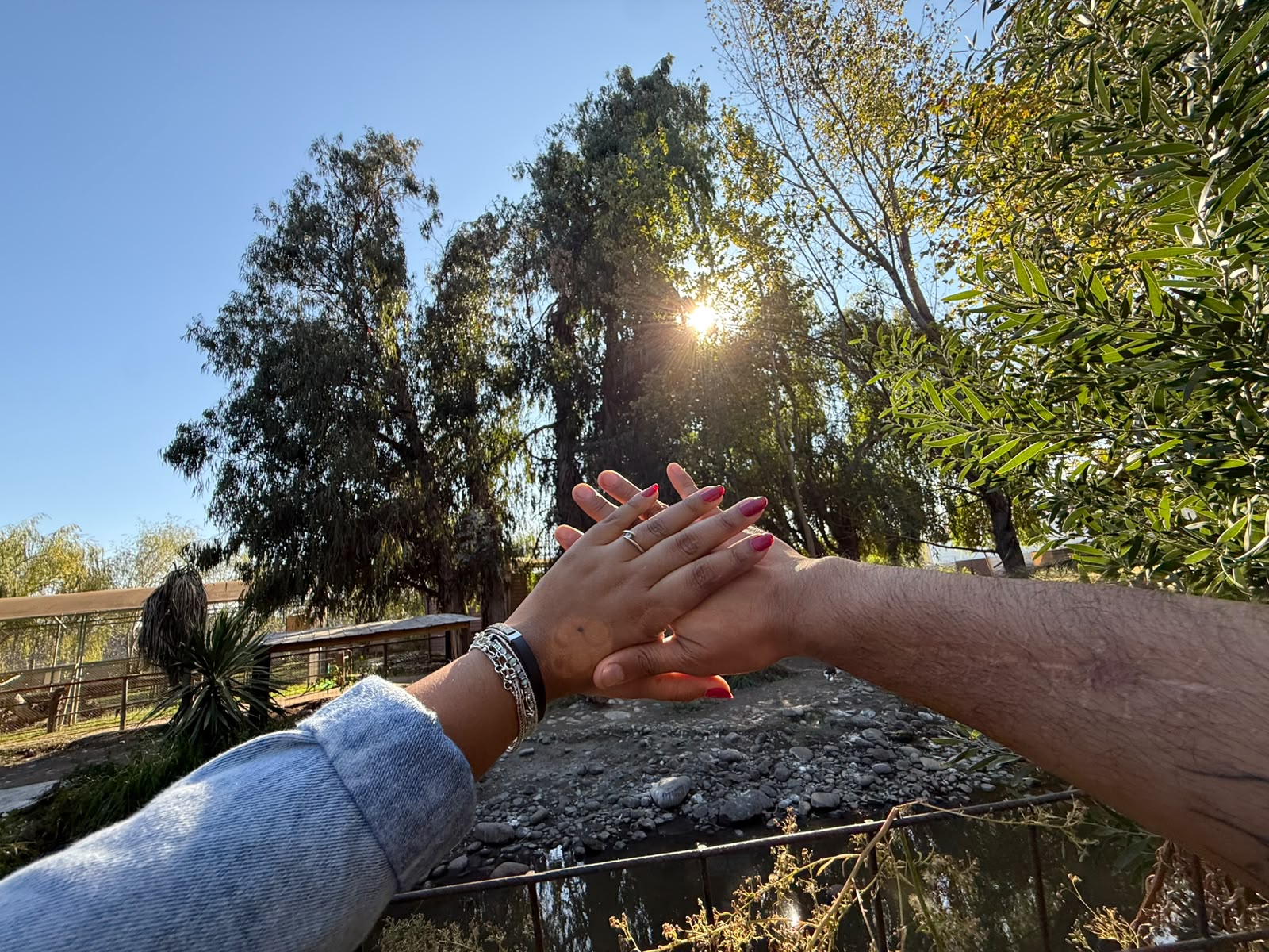 Denisse y Luis Save The Date